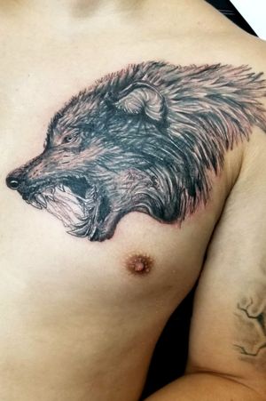 Massive cover up over a name on the chest with a snarling wolf bust 