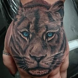 #lion #liontattoo #lioness #lionesstattoo #handtattoo #hand #realistictattoo #animal #animaltattoo #realismtattoo #blackandgrey #blackandgreytattoo #tattooartist #point2point #tattoostudio #erith #kent #southlondon 