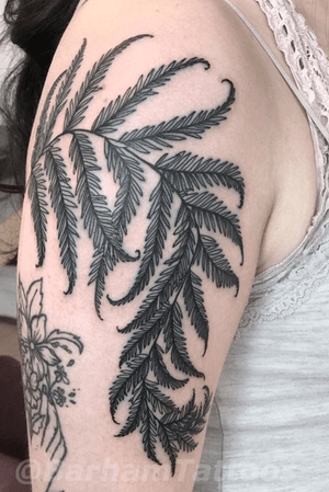 Fern tattoo by Barham Williams at Fable Tattoo Gallery