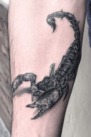 Scorpion tattoo..! #art #tattoo #inked #scorpion #scorpiontattoo #tattooink 