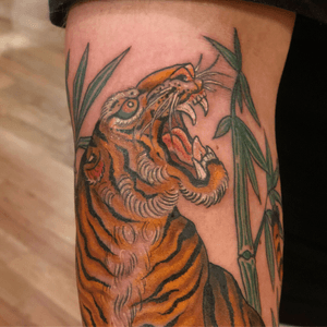 Tiger on a japanese sleeve in progress