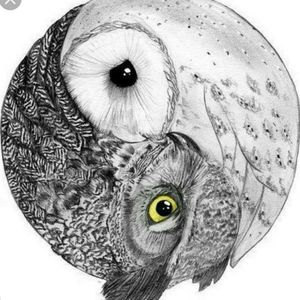 Yin Yang Owls 