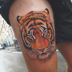 Tiger tattoo by Jones Larsen #JonesLarsen #LacunaTattoo #realism #realistic ##mashup #tattoodoapp #tattooartist #tattooidea #cooltattoo #copenhagen #denmark #leg #tiger #junglecat #cat #color #realism #leg