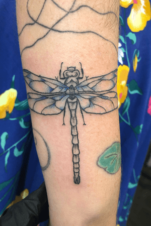 #dragonfly #insects #bugs #blackwork #color #dotwork #gapfiller #ladytattooer 