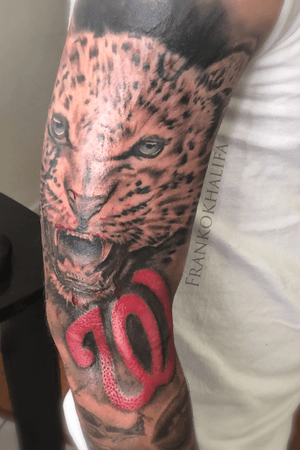 Cheetah cover 