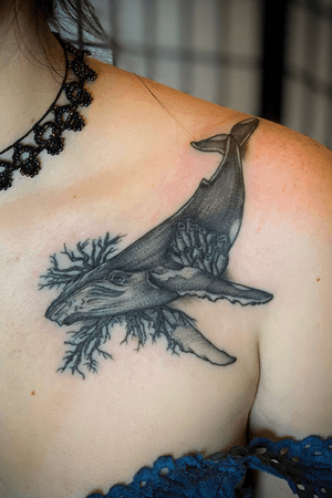 Whale, black and gray, collarbone, chest