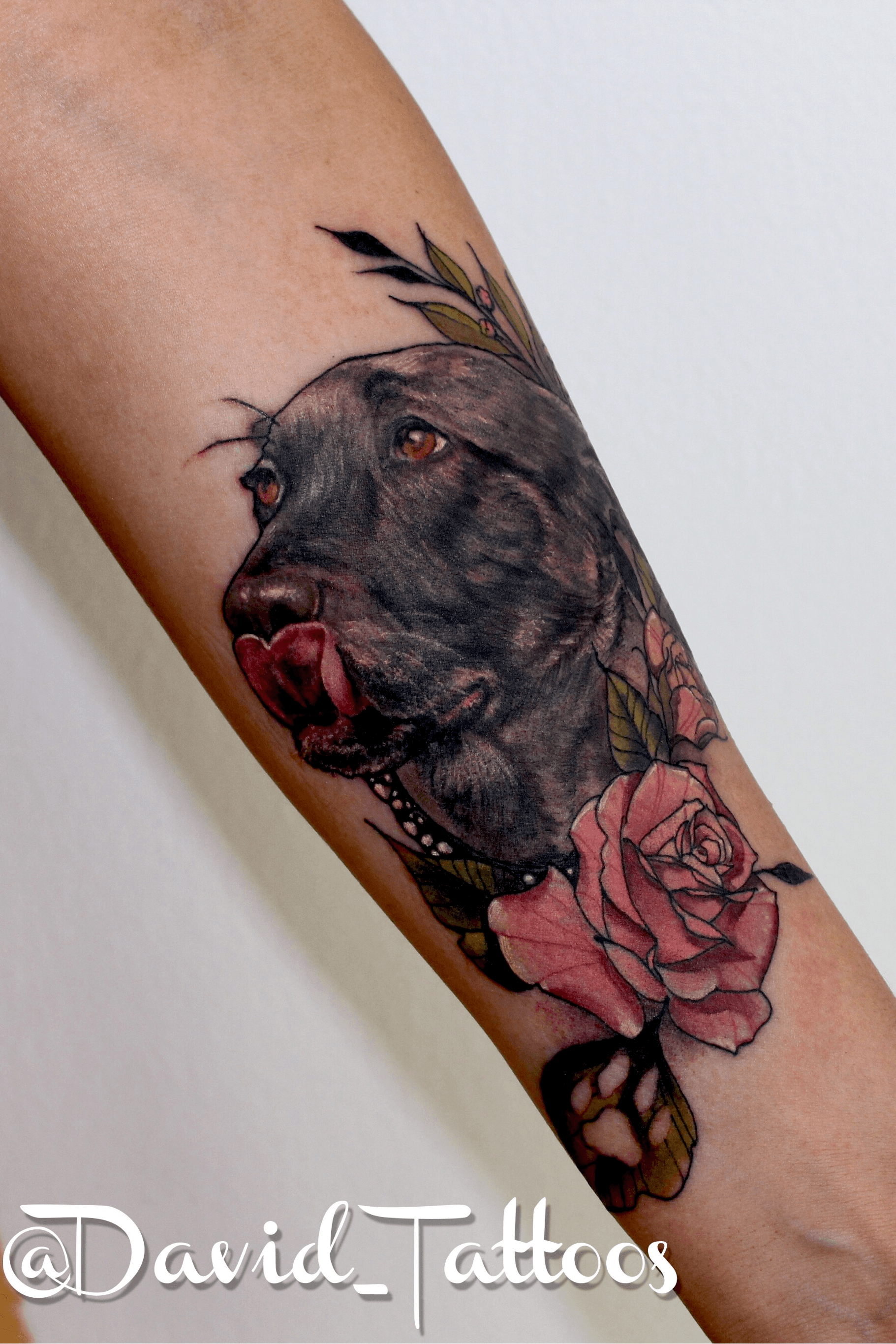 Floral Dog Tattoo by April Ramirez JP Alfonso Studios Norcross Georgia   rtattoos
