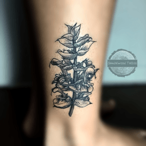 Clary sage tattoo. #tattoo #clarysage #flower #linework #shades #legtattoo #art #handmade #original #tatuaje #puertorico #caborojo #arte #local #blackwork #share #flor #salvia 