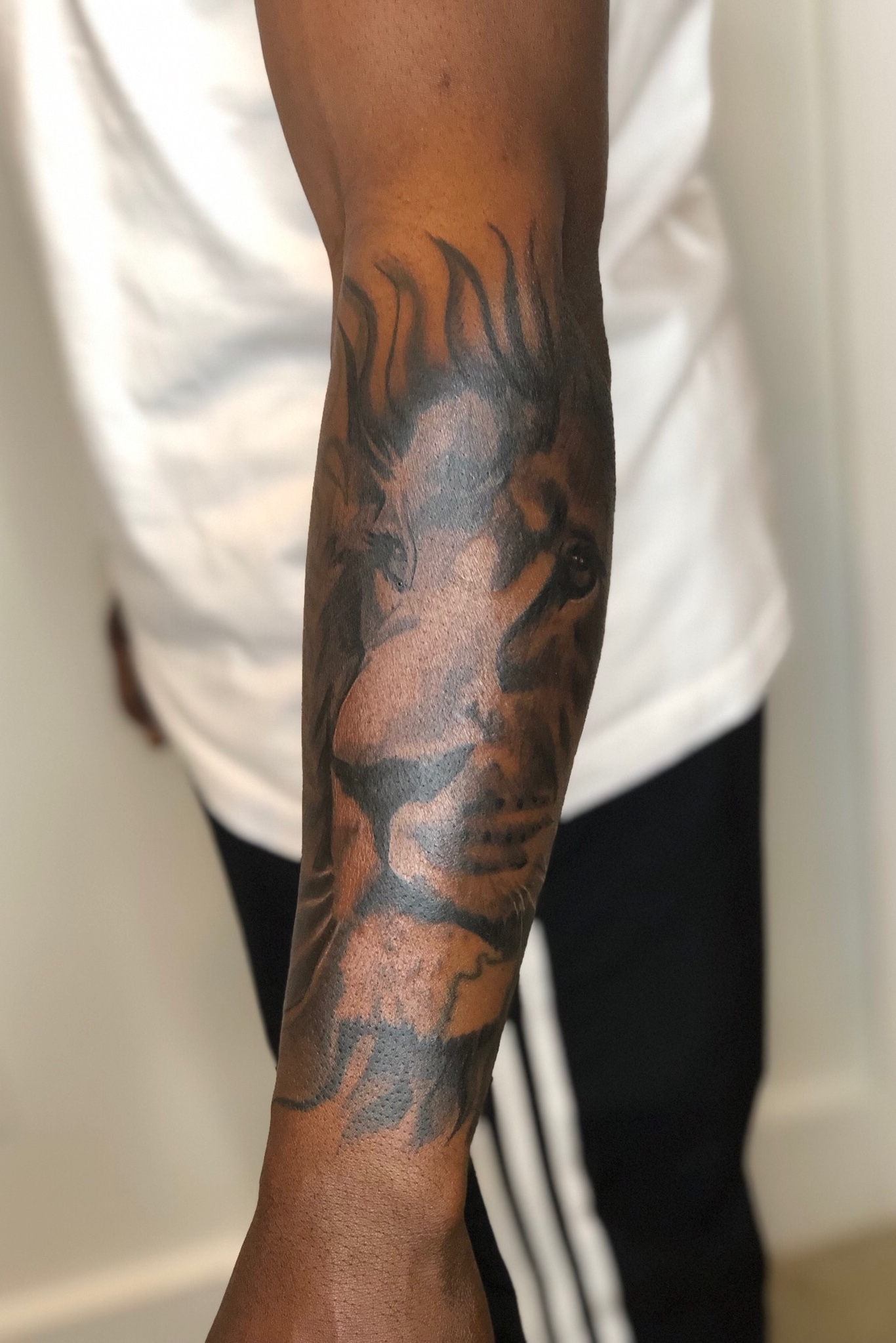 15 Lion Forearm Tattoo Designs  PetPress