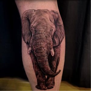 Elephant tattoo by Jones Larsen #JonesLarsen #LacunaTattoo #realism #realistic ##mashup #tattoodoapp #tattooartist #tattooidea #cooltattoo #copenhagen #denmark #blackandgrey #elephant #leg