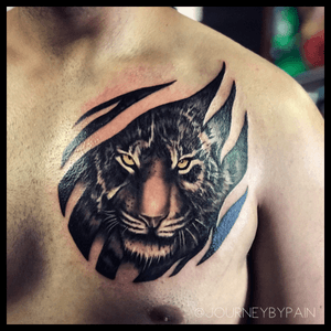 A black and grey tiger for my man :) really enjoyed this tattoo #miamitattoo #miamitattoos #miamitattooparlor #miamitattooartist #miamibeachtattoos #miamiink #miamiartist #tattooshop #tattooideas #tattoostudio #tattooartist #tattoo #tattoos #inked #tattooart #inkstagram #tattooart #floridatattooartist #tattoodesigns #southflorida #neotrad #neotraditional #southfloridatattoo #southfloridatattooartist #hollywoodtattooartist 