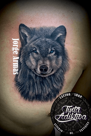 #wolf #wolftattoo #lobo #lobotattoo #lobotatuaje #JorgeArmas #veracruz #tattoo #ink #tatuaje #tintaadiktiva #tatuadoresmexicanos #tatuadoresveracruzanos