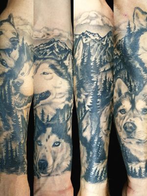 #Huskies #husky #wolfhead #wolves #malamut #portrait #lake #trees #lake #mountains #collage #sleeve #blackandgrey 