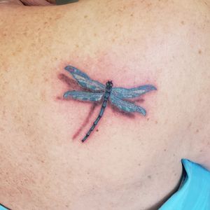 Dragonfly I knocked out today.If you're looking for a new tattoo, Call the shop at 810-695-3333(ask for Jesse), Text only 313-442-3047(My tablet), or DM me.Please like and follow me @tattooedbyjesse FB, IG, SC, pinterest and www.facebook.com/tattooedbyjesse#TattooedByJesse #ComeGetSomeInk #LoyaltyTattooCompany #DynamicBlack #Tattoo #Tattoos #MichiganTattooArtists #MichiganPiercers #Tattooed #CheyenneTattooMachine #Cheyenne #dragon #fly #dragonflytattoo #dragonfly