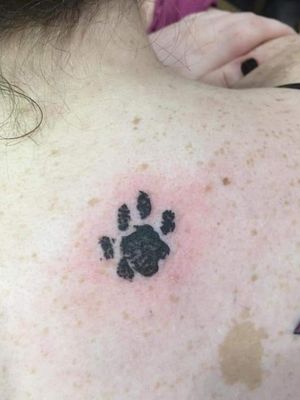 Memorial piece of my cat's paw print after he crossed the rainbow bridge. Tattoo by Jimmi at Explosive Tattoo in New Castle, DE.
