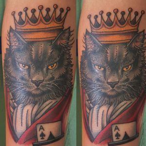 Traditional American cat in crown robe ace of spades