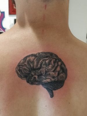 Anatomic illustration of brain #brain #tattoo