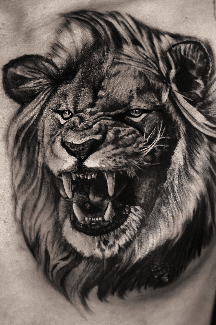 Scarred Lion  Tatuagem de pata de leão Tatuagem de animais Desenho de  tatuagem de leão