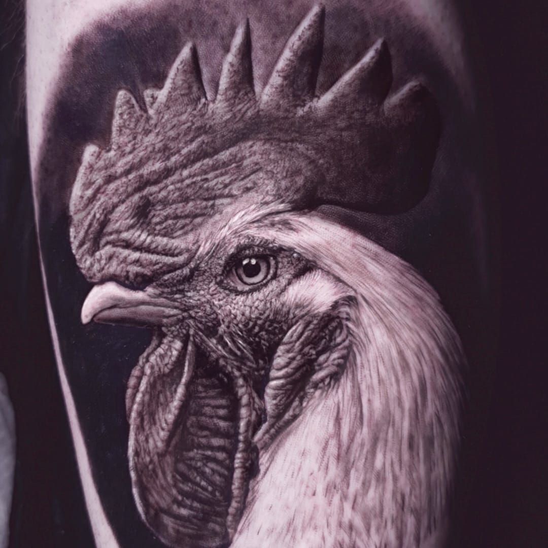 fighting rooster tattoo fresh  Rooster tattoo Fighting rooster Fighting  tattoo