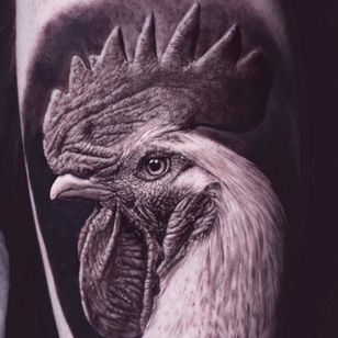 Tatuaje de gallo de Ralf Nonnweiler #RalfNonnweiler #realismtattoo #realismtattoos #realism #realistic #hyperrealism #tattooideas #cock #cock #blackandgrey #arm #chicken #animal