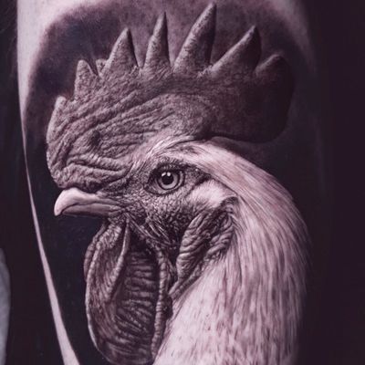 Rooster tattoo by Ralf Nonnweiler #RalfNonnweiler #realismtattoo #realismtattoos #realism #realistic #hyperrealism #tattooideas #rooster #cock #blackandgrey #arm #chicken #animal