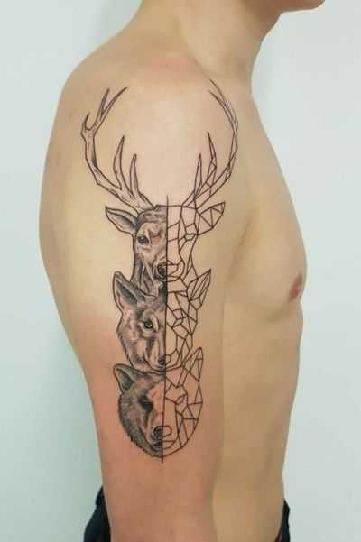 #totem #patronus 