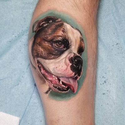 Dog tattoo by Chris Litts #ChrisLitts #realismtattoo #realismtattoos #realism #realistic #hyperrealism #tattooideas #dog #color #petportrait #leg