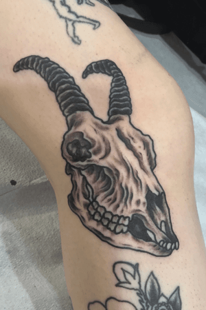 Traditional black and grey Goat skull 