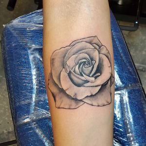 Black and grey rose#tattoos #blackandgreytattoo #blackandgrey #bishoptattoomachine #bugpin #tattoocartridge #tattoomag #tattooliner #aztattooartist #tattoolifer #phillytattooartist 