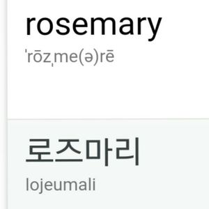 Korean Characters for the word Rosemary.