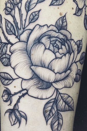 A closeup of a recent black and grey linework rose. Part of a rose-themed half sleeve. 