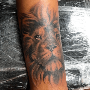 #lion tattoo 