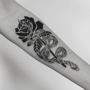 Snake / rose