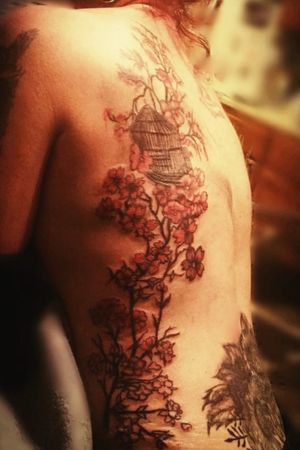 This pic here is I believe the second Session of the cherry blossoms cage tattoo and on the third session the cherry blossoms ran down her high .