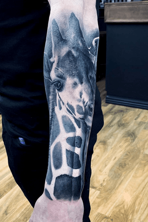 My first experience on Giraffe portrait guys hope you will like it thanks to my new customer @christopherlister for being strong well done bud.  #giraffe #giraffetattoo #forearmtattoo #bishop #bishoprotary #bishopmaggi #silverback #silverbackink #hulltattoo #hulltattooists #uktattoo #uktattooist