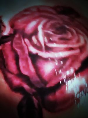 A rose I did I started with black and gray and then added cherry red and white 