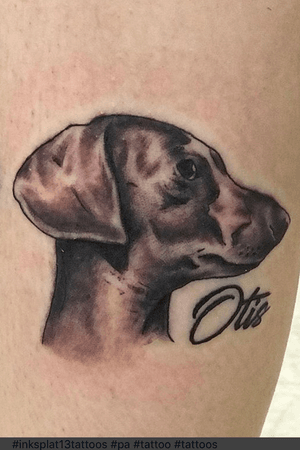 Fun animal portrait of a clients dog who passed away