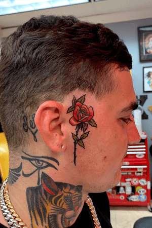 Color traditional long stem rose opening up on a face.   Sideburns maybe but seems pretty much like a face tattoo 