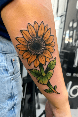 •Sunflower•