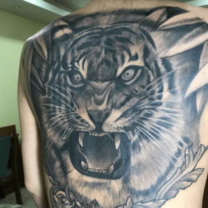Cover up realistic tiger still in porgress #tigertattoo #phukettattoo