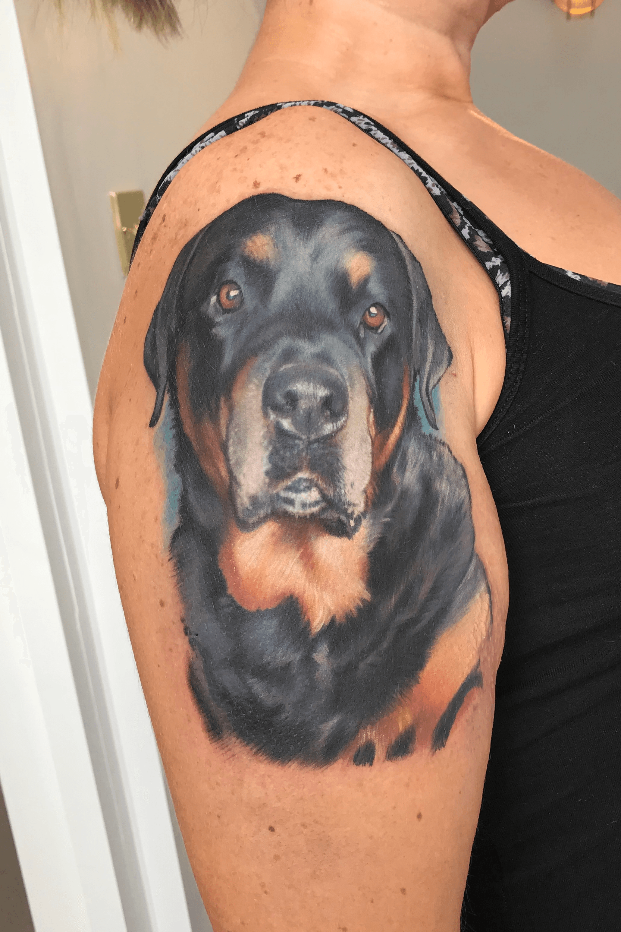 rottweiler' in Tattoos • Search in + Tattoos Now • Tattoodo