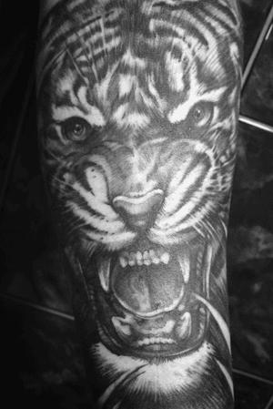 Lower arm tiger by Area87