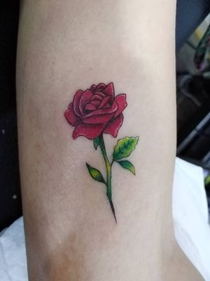 Mini Rosa - Tattoo