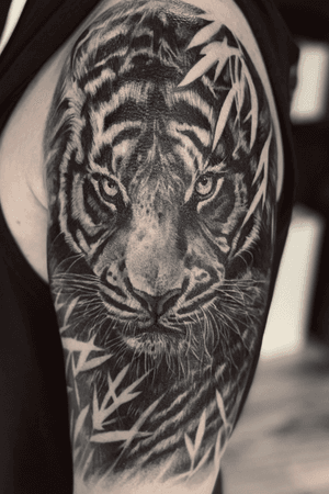 Tiger realism black grey specialist 