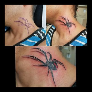 Widow Spider on neck