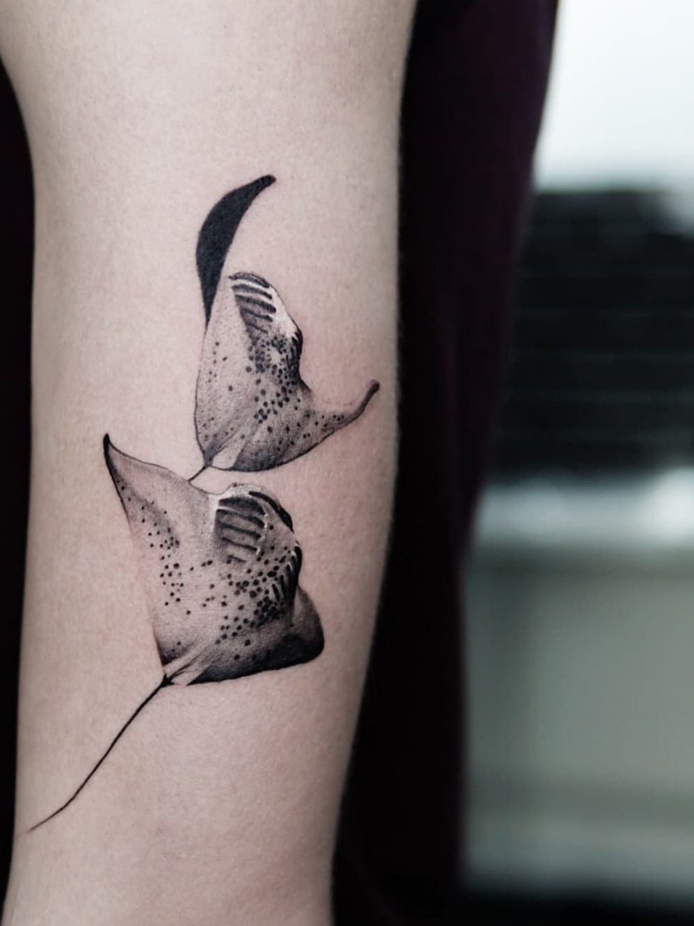 Realistic Stingray Tattoo