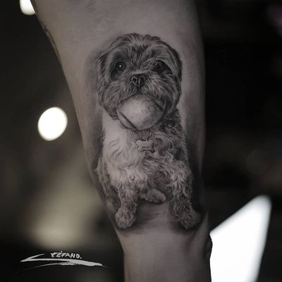 Dog tattoo by Stefano Alcantara #StefanoAlcantara #dogtattoos #dogtattoo #dog #animal #petportrait #pet #love #family