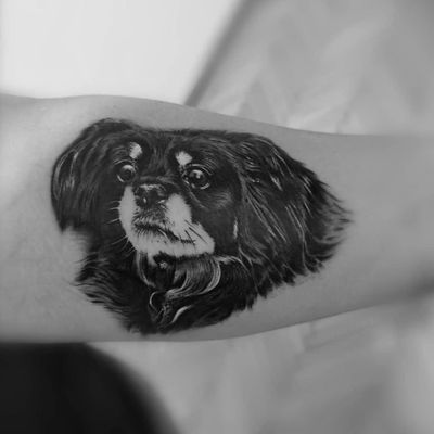 Dog tattoo by Diana Bite #DianaBite #dogtattoos #dogtattoo #dog #animal #petportrait #pet #love #family