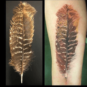 All done with a 3-liner. Used the real feather as a reference. #jasonvtattoo #metal #punk #girl #girlswithtattoos #blood #illustrative #fineline #portait #realism #realistic #feather 