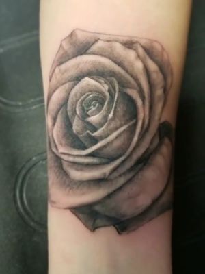Black and grey rose 